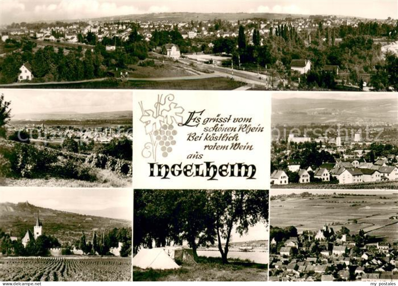 Ingelheim Rhein Panorama Teilansichten Camping Kirche