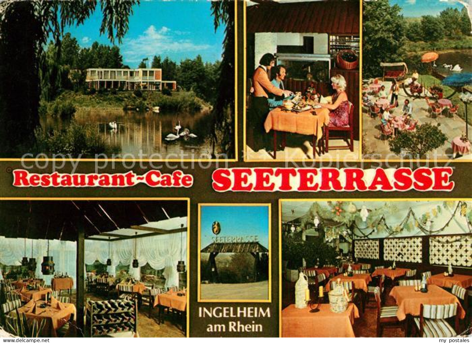 Ingelheim Rhein Restaurant Cafe Seeterrasse