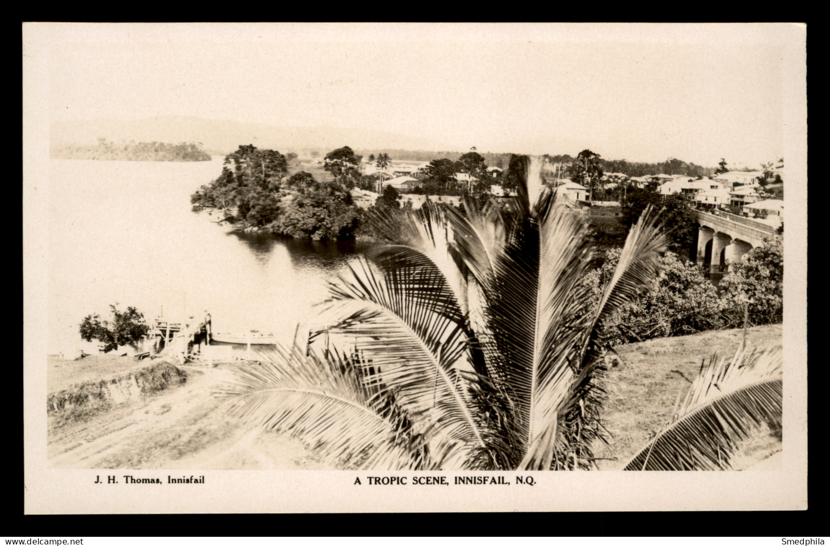 Innisfail - A Tropic Scene