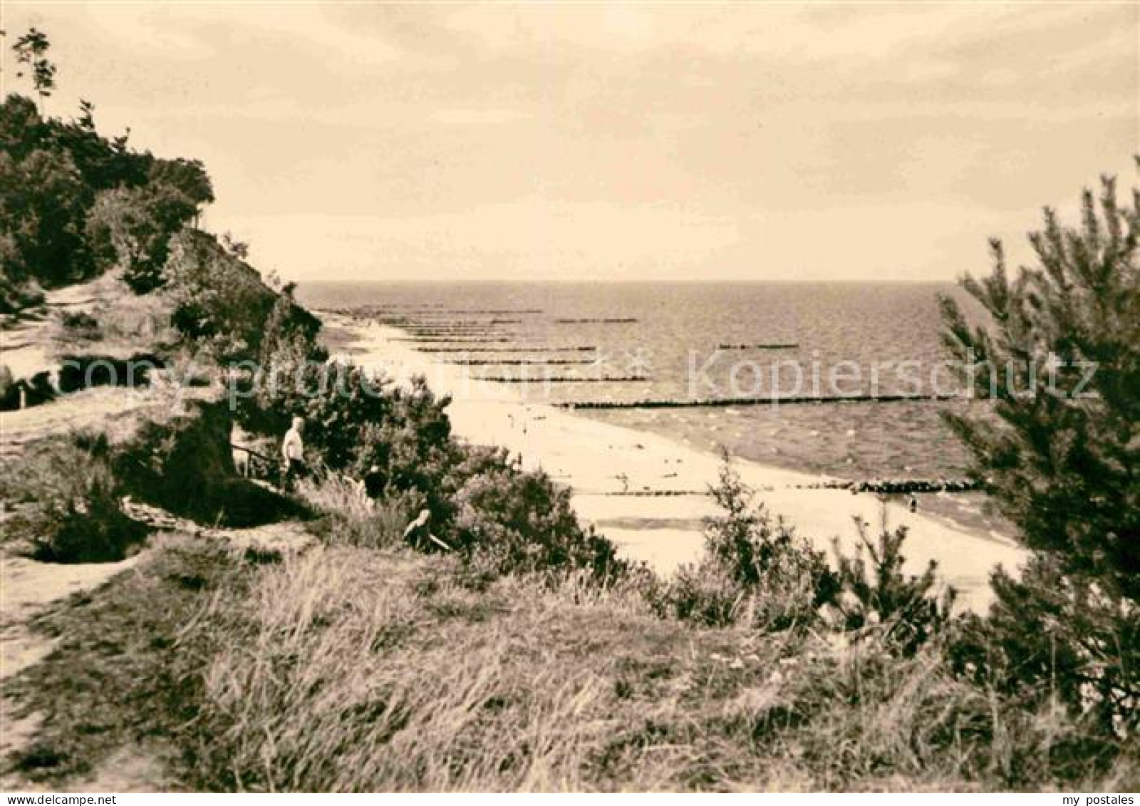 Insel Usedom Hochufer