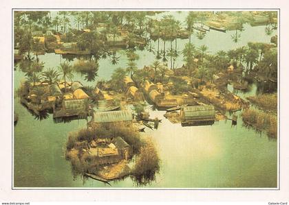 IRAK IRAK LES MAADANS: HABITANTS DES MARAIS