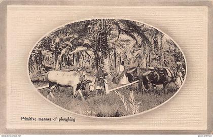 Iraq - Primitive manner of ploughing - Publ. Abdulaly & Brothers
