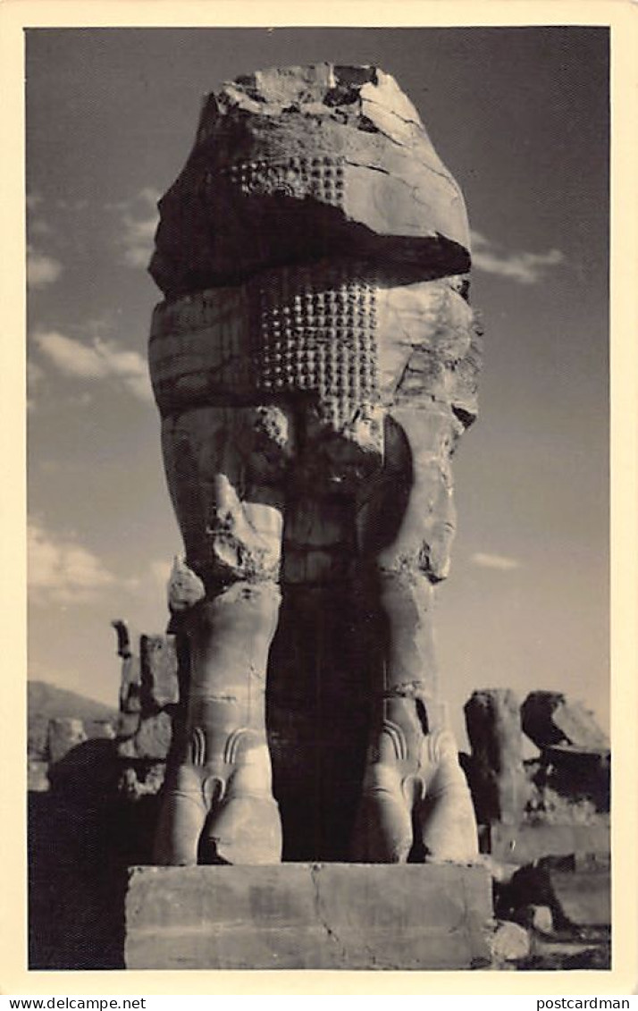 Iran - PERSEPOLIS - Real Photo - Photograph Rostamy