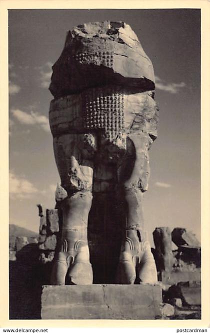 Iran - PERSEPOLIS - Real Photo - Photograph Rostamy