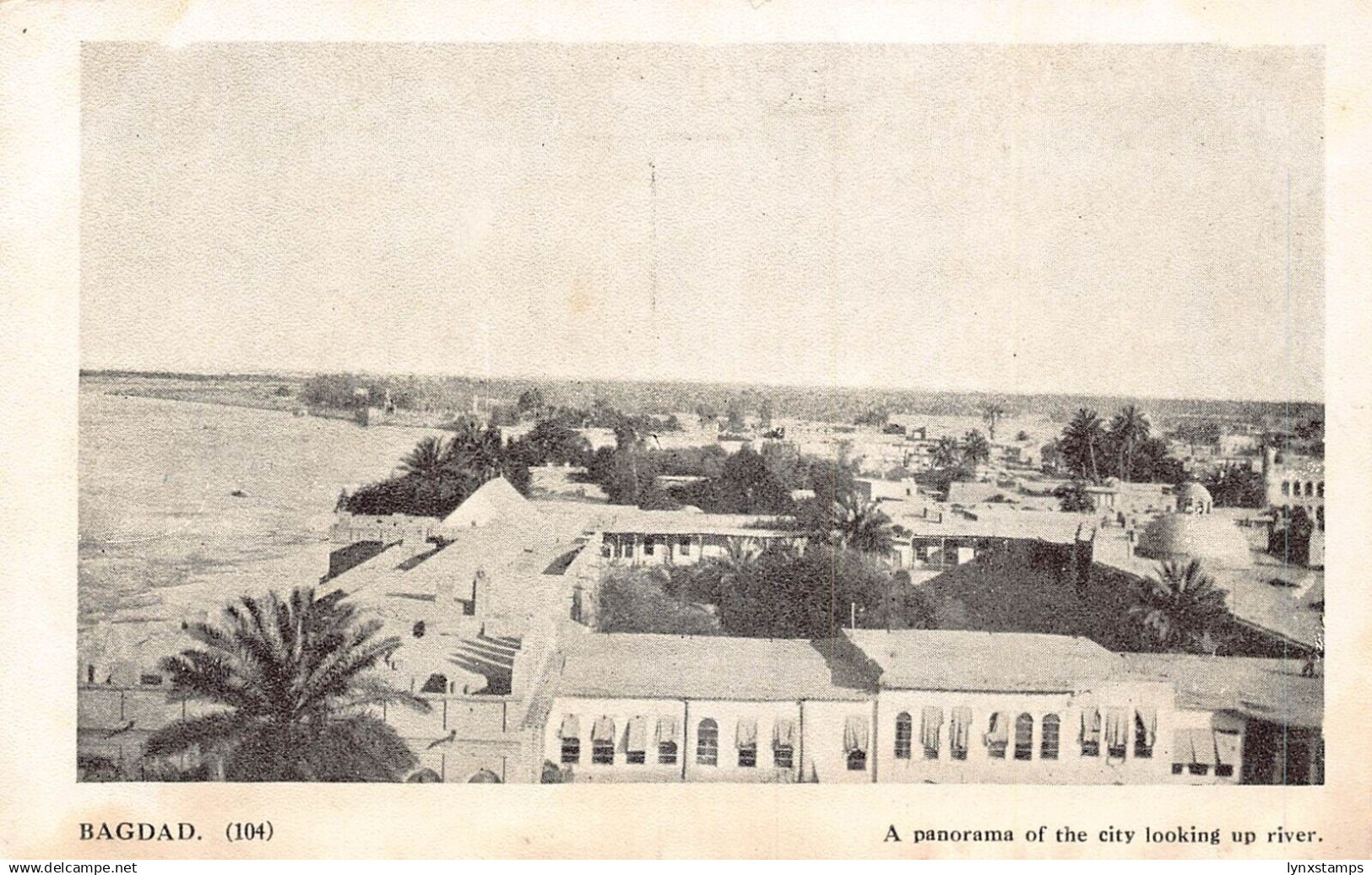 Iraq Baghdad Panorama looking up the river vintage postcard