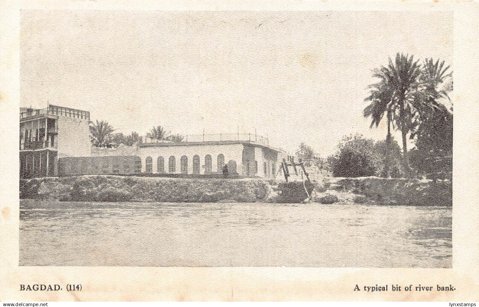 Iraq Baghdad Typical Bit of river bank vintage postcard