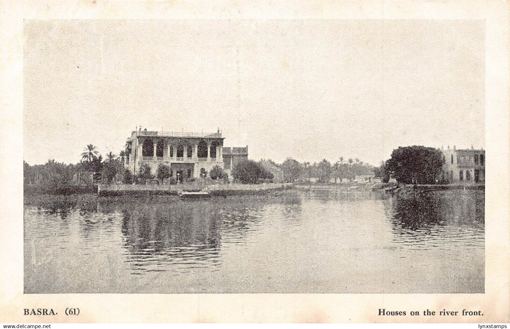 Iraq Basra Houses on the river front vintage postcard