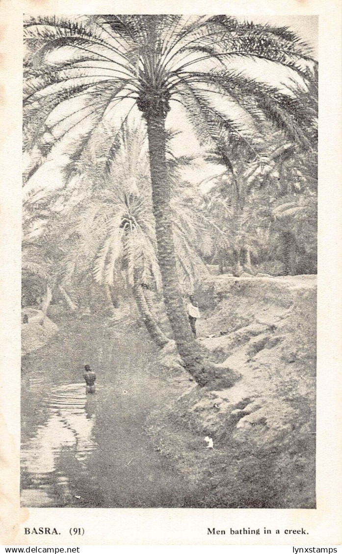 Iraq Basra Men Bathing in a creek vintage postcard