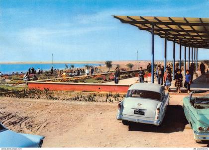 B320 Iraq Habbaniya Lake Cars vintage postcard
