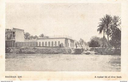 Iraq Baghdad Typical Bit of river bank vintage postcard