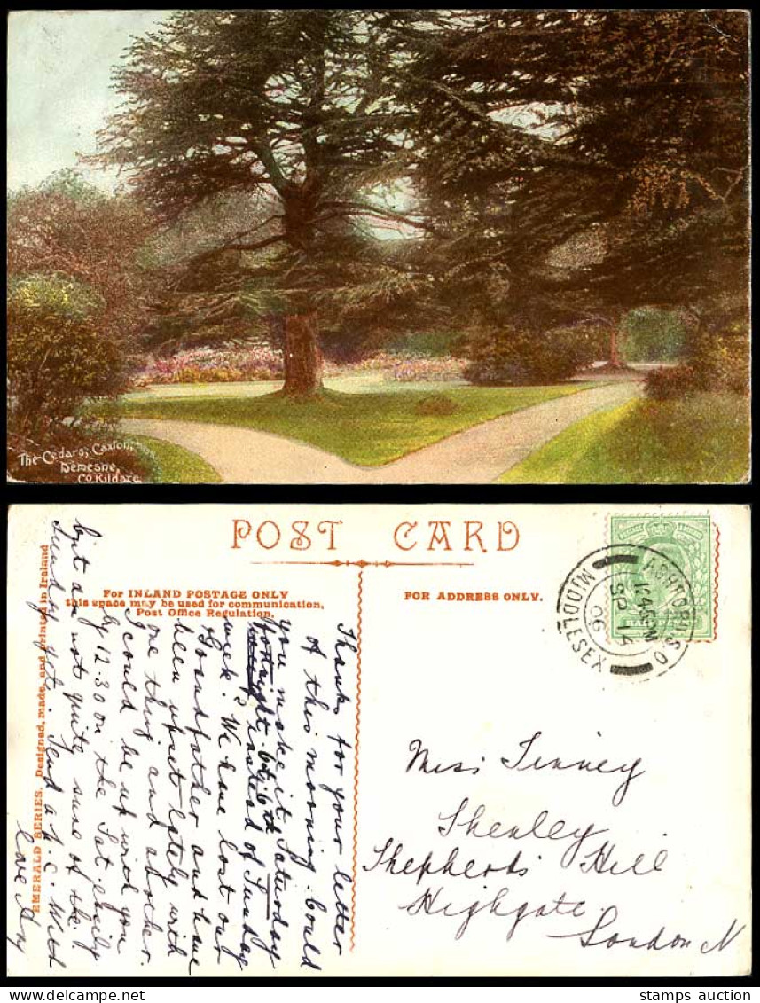 Ireland Co Kildare 1906 Old Postcard The Cedars Caxton Demesne Cedar Trees Irish