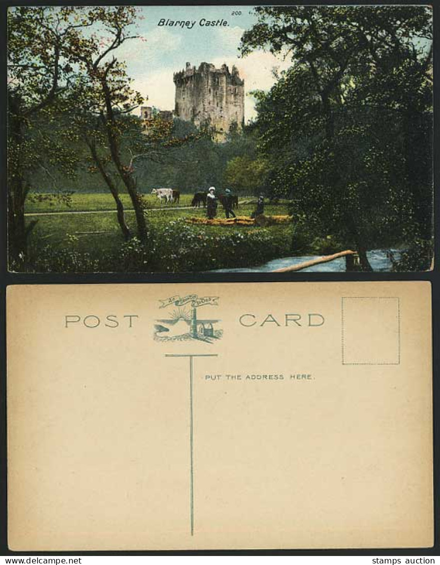 Ireland Cork BLARNEY CASTLE Cattle & River Old Postcard