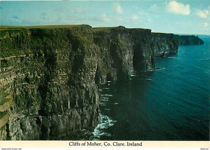 Irlande - Clare - The Cliffs of Moher - Falaises - Ireland - CPM - Voir Scans Recto-Verso