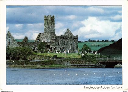 CPM AK Cork Timoleague Abbey IRELAND (1440674)