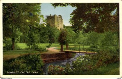 Irland Ireland Cork CPM Blarney Castle