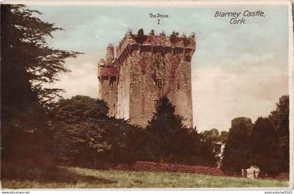 uk12076 blarney castle cork ireland  uk