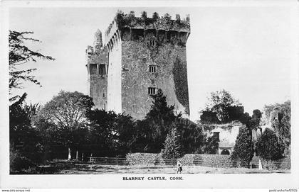 uk13025 blarney castle cork ireland