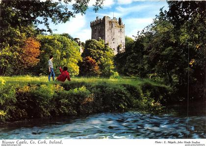 uk51832 blarney castle cork ireland