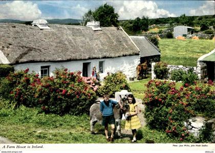 Carte Postale - Irlande - Galway - A farm house in ireland - Enfants - Ane - Co Galway - CPM - Voir Scans Recto-Verso