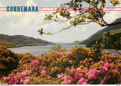 CPM Connemara Co Galway