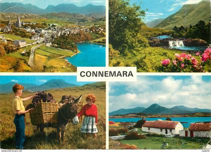 CPM Connemara Co Galway This is the name given to the western portion of Co Galway Ane Donkey