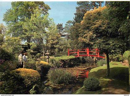 Carte Postale - Irlande - Kildare - Tully - Japanese Gardens - Jardin Japonais - Ireland - Irlanda - CPM - Voir Scans Re