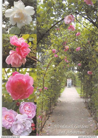 B100641 woodstock gardens and arboretum kilkenny  ireland