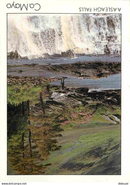 Irlande - Mayo - Aasleagh Falls - Erriff River - CPM - Carte Neuve - Voir Scans Recto-Verso