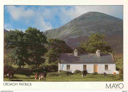 Irlande - Mayo - Croagh Patrick - Vaches - CPM - Carte Neuve - Voir Scans Recto-Verso