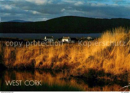 Cork