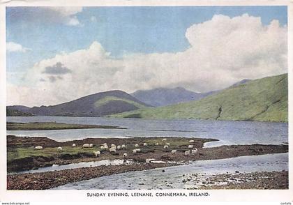 IRLANDE-LEENANE-CONNEMARA IRLANDE-N°7092-C/0335