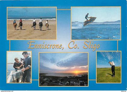 Carte Postale - Irlande - Sligo - Enniscrone - Multivues - Golf - Jet Ski - Chevaux - Voir Timbre - Ireland - CPM - Voir