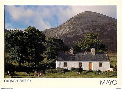 Carte Postale - Irlande - Wexford - Croagh Patrick - Vaches - Carte Neuve - Ireland - CPM - Voir Scans Recto-Verso - Pos
