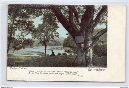 ÉIRE Ireland - Co. Wicklow - Meeting of Waters
