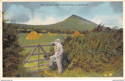 uk30739 sugar loaf mountain wicklow ireland