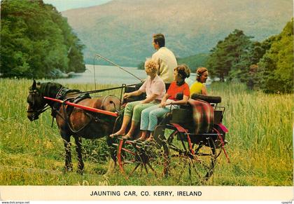 CPM Jaunting Car Co Kerry Ireland