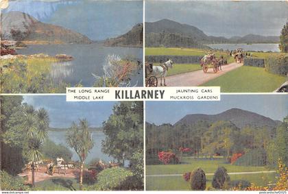 uk51781 killarney kerry ireland