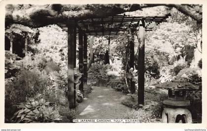 [-5%] IRLANDE - The Japanese Gardens - Tully - Kildare - Carte Postale Ancienne