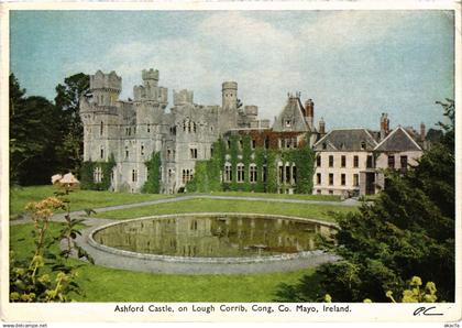 CPM AK Mayo Ashford Castle IRELAND (1440976)