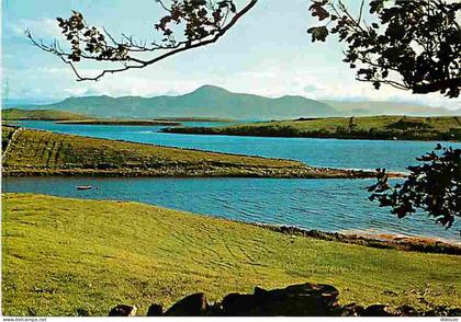 Irlande - Mayo - Clew Bay and Croagh Patrick - CPM - Voir Scans Recto-Verso