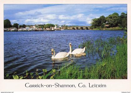 IRLANDE CARRICK ON SHANNON COMTE DE LEITRIM