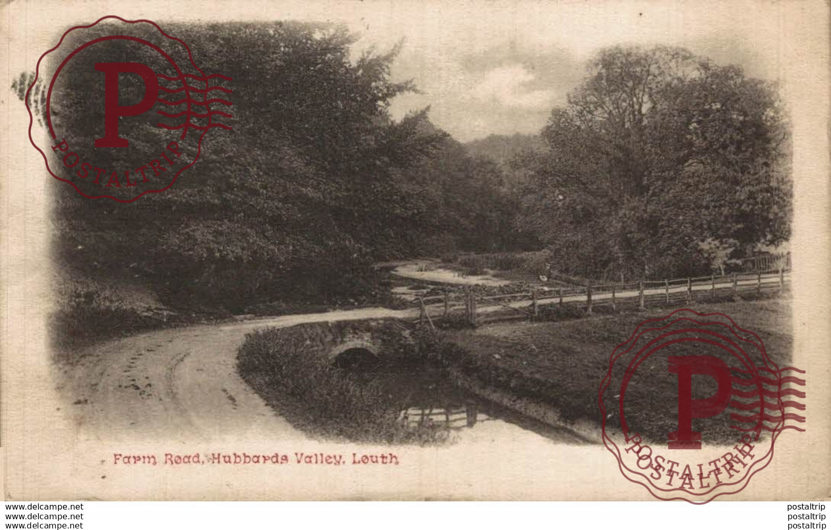IRLANDA // IRELAND. FARM. HUBBARDS VALLEY, LOUTH