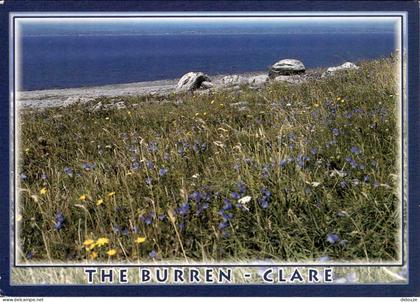 Carte Postale - Irlande - The burren - The burren clare - Co Clare - CPM - Voir Scans Recto-Verso