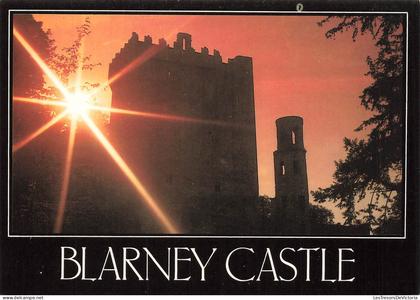 IRELANDE - Blarney Castle - situated five miles from Cork city - the castle is famous for its stone - Carte Postale