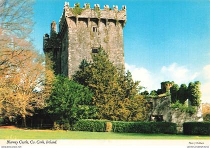 IRLANDE - Blarney castle - Co Cork - Ireland - situated five miles from Cork city - photo J Colthurst - Carte Postale