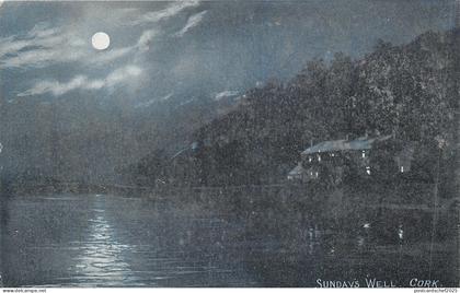 uk41450 sundays well cork ireland