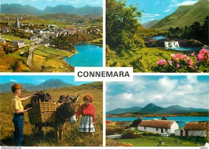 CPM Connemara Co Galway Ane Donkey