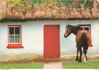 CPM Cottage near Kinvara Co Galway