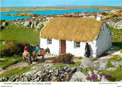 CPM Thatched cottage Connemara Co Galway Ireland