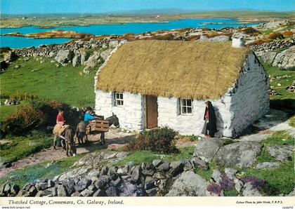 CPM Thatched Cottage Connemara Co Galway Ireland